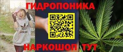 ПСИЛОЦИБИНОВЫЕ ГРИБЫ Ливны