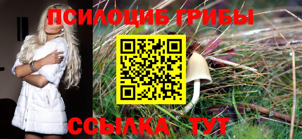 Галлюциногенные грибы мицелий  Вход с VPN  Калининград  Псилоцибиновые грибы прущие грибы 